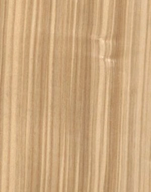 Olivewood veneer